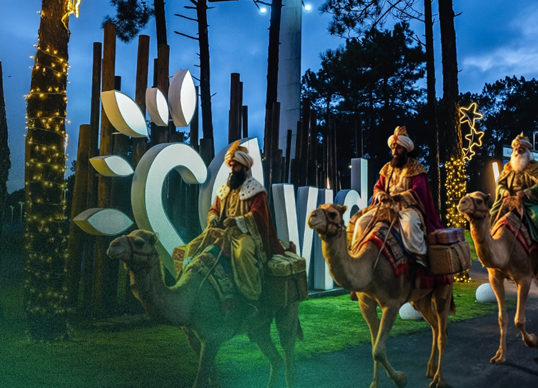 As vozes das escolas básicas celebram os Reis, no Vida Ovar